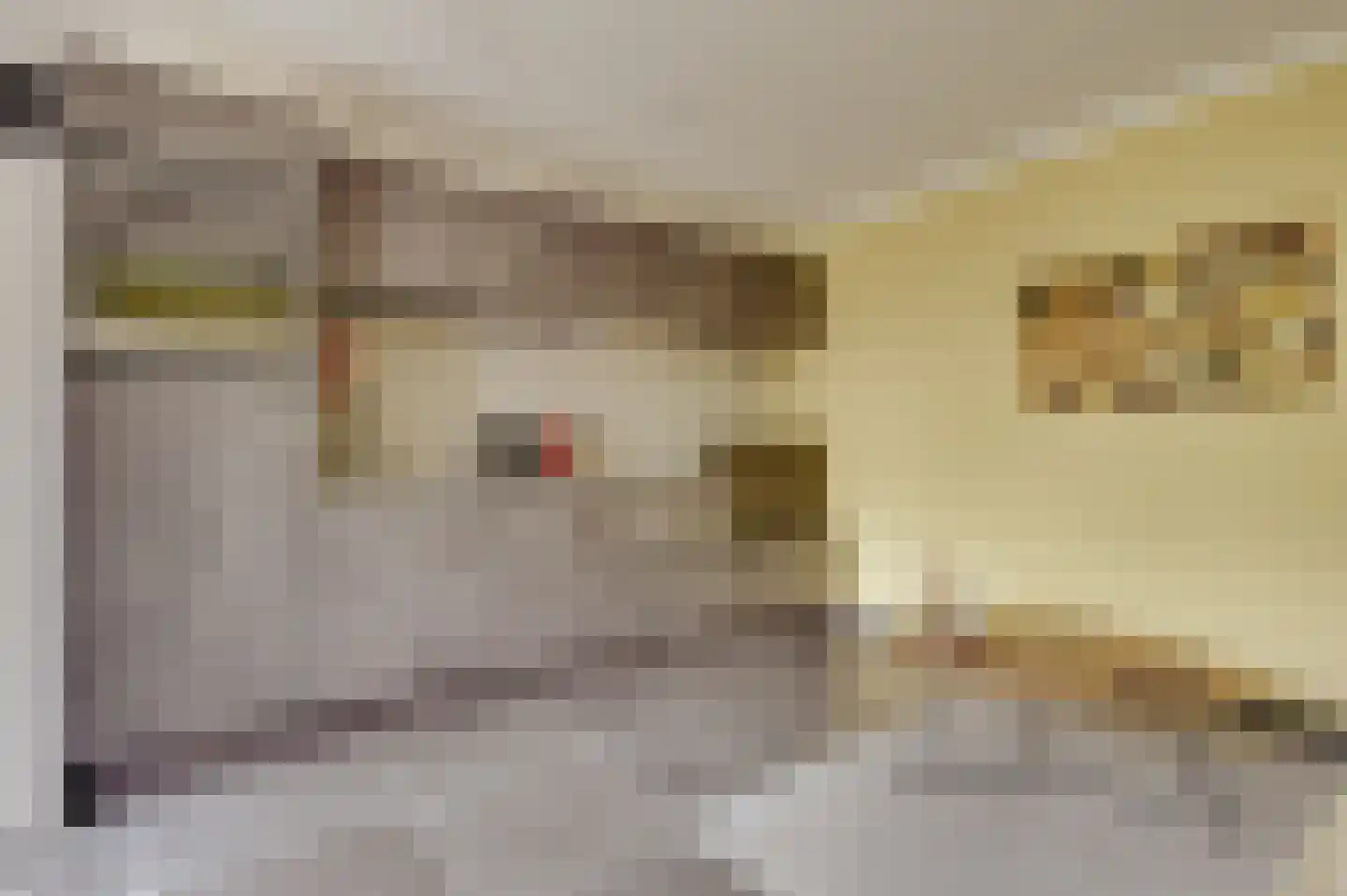 Zwagermanweg 2 Grijpskerke thumbnail 39