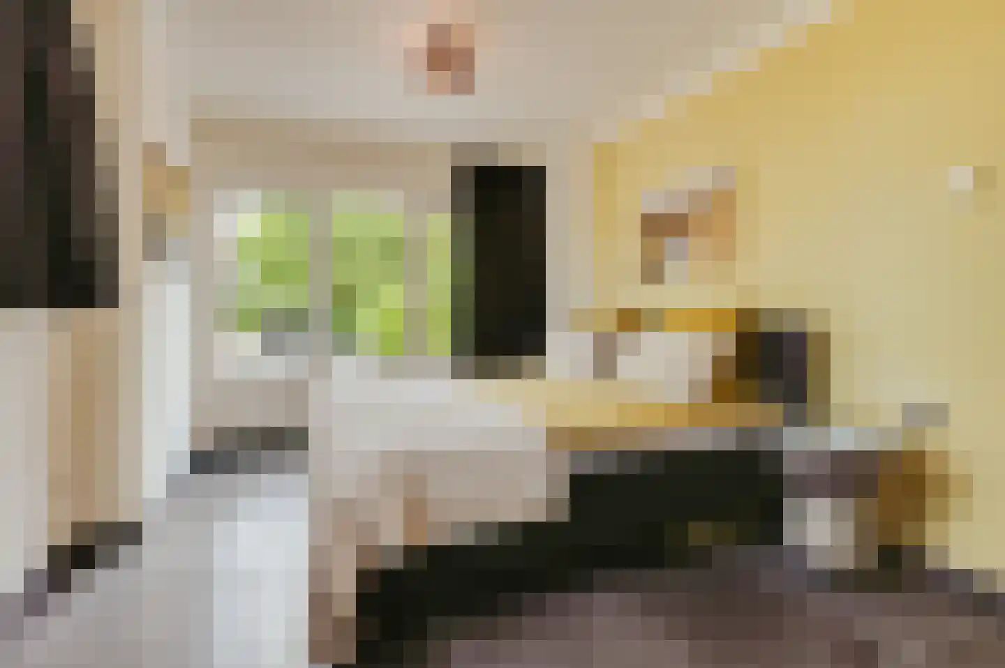 Zwagermanweg 2 Grijpskerke thumbnail 41