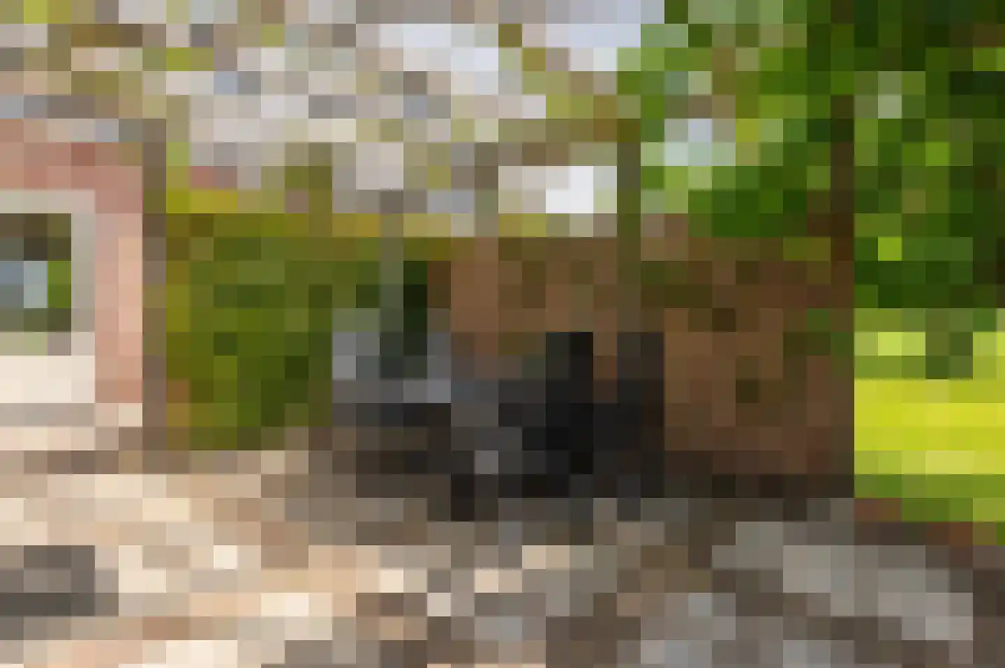 Zwagermanweg 2 Grijpskerke thumbnail 44