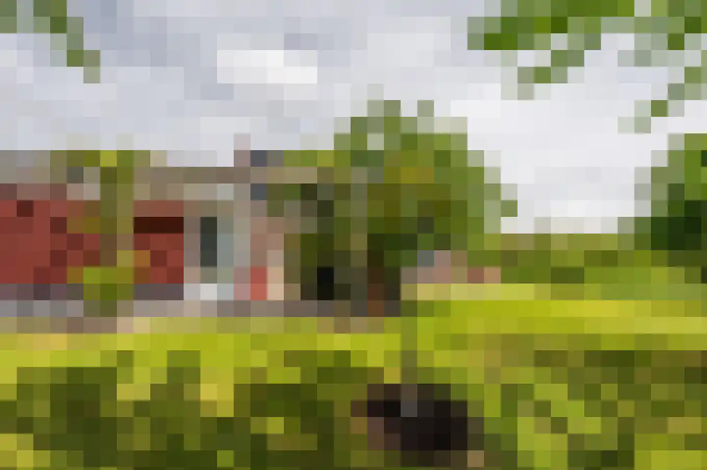 Zwagermanweg 2 Grijpskerke thumbnail 45