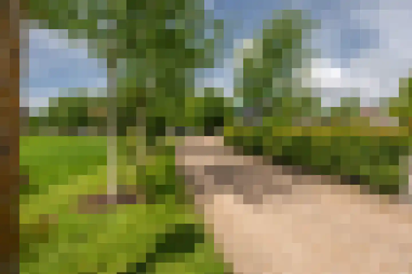 Zwagermanweg 2 Grijpskerke thumbnail 46