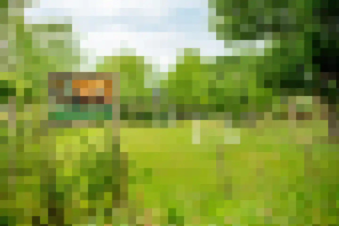 Zwagermanweg 2 Grijpskerke thumbnail 47