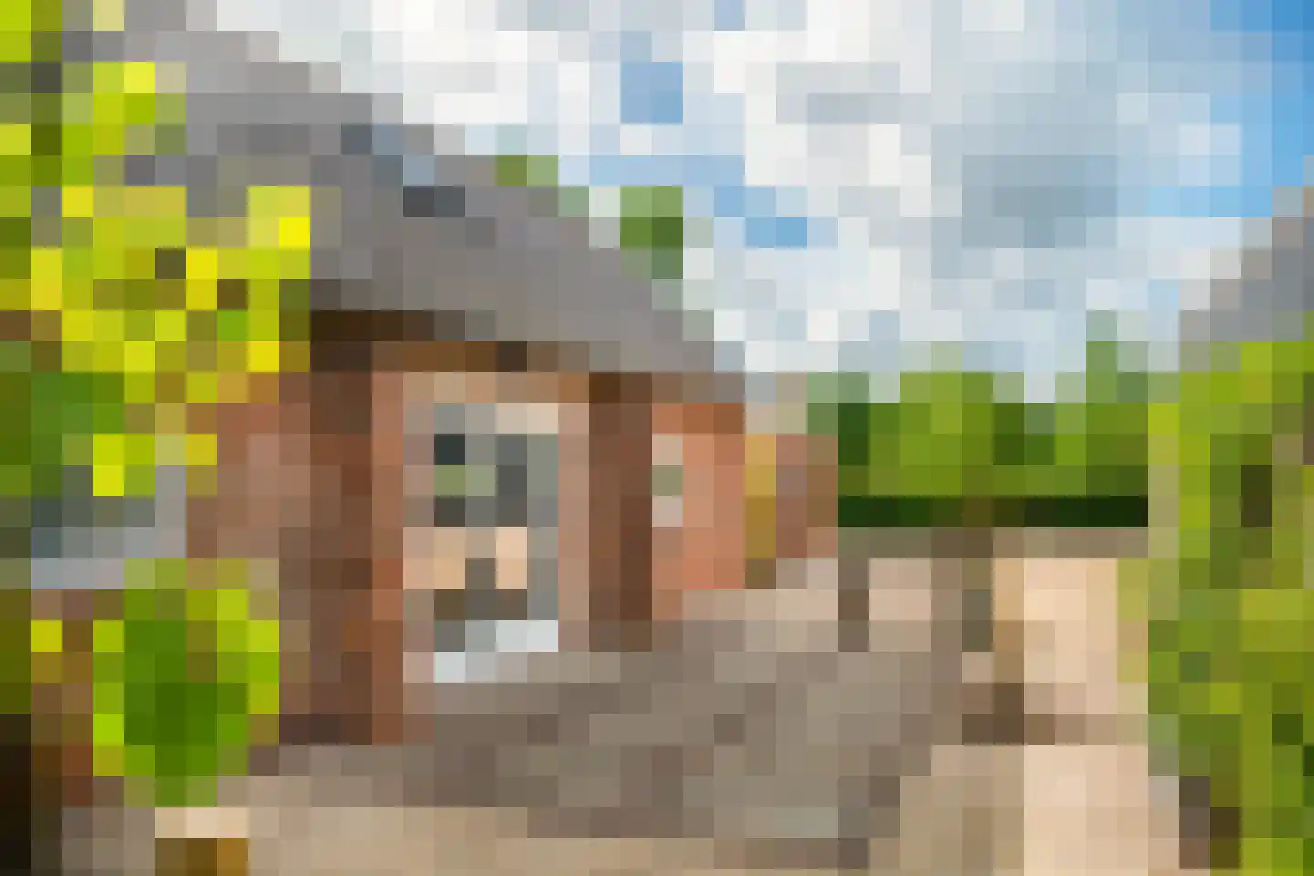 Zwagermanweg 2 Grijpskerke thumbnail 49
