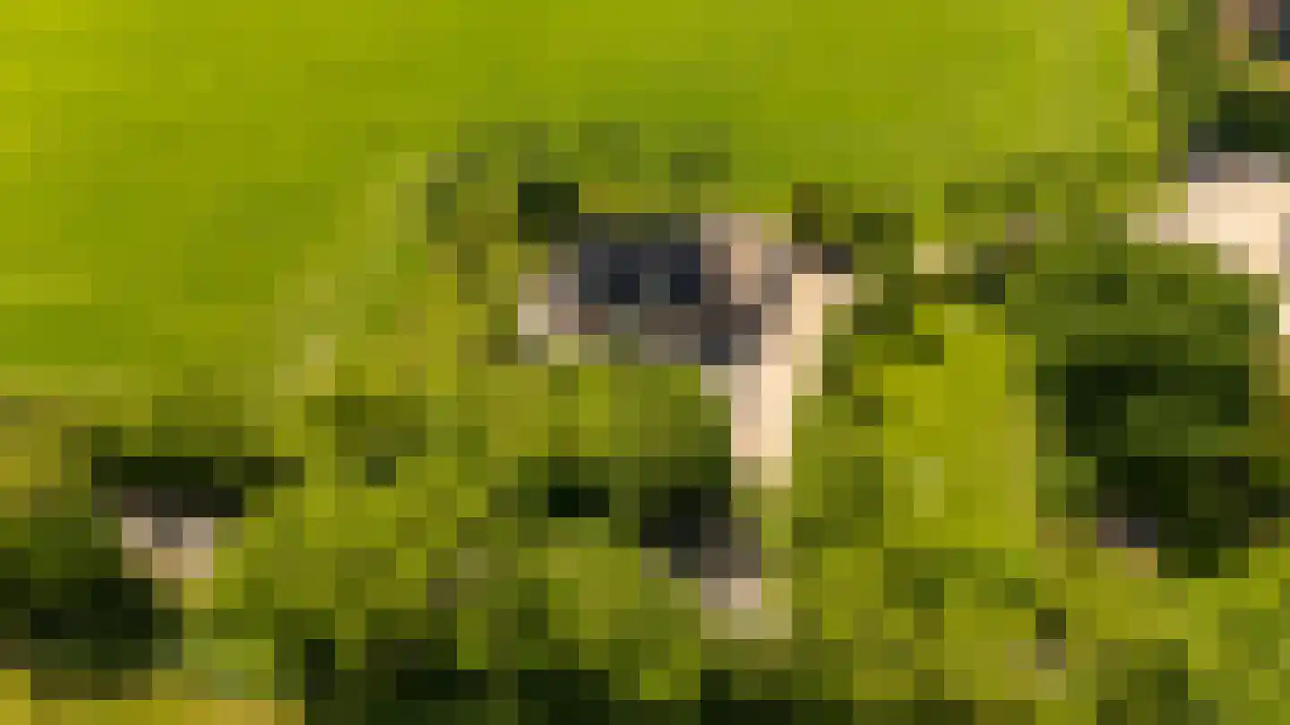 Zwagermanweg 2 Grijpskerke thumbnail 5