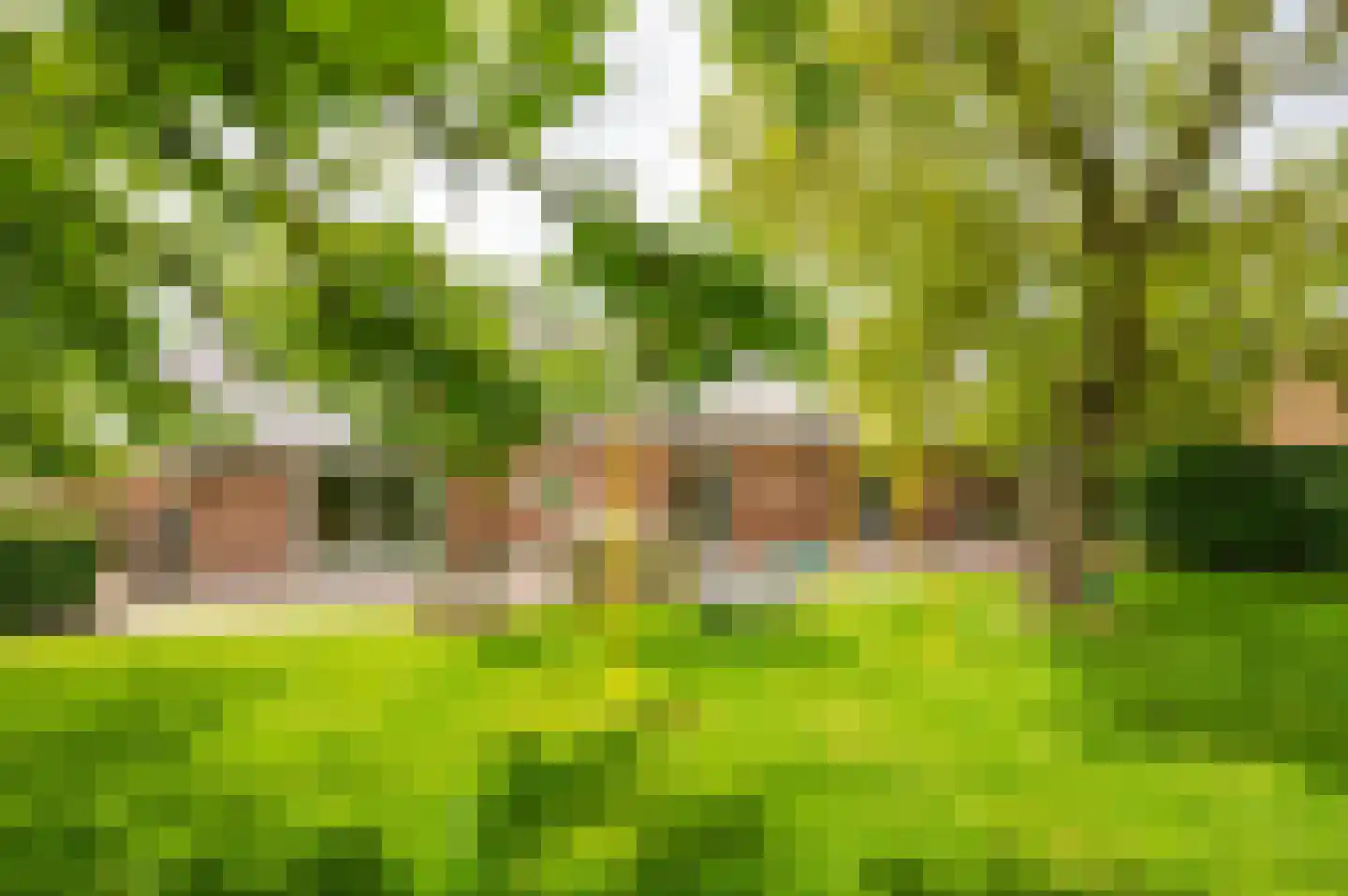 Zwagermanweg 2 Grijpskerke thumbnail 50