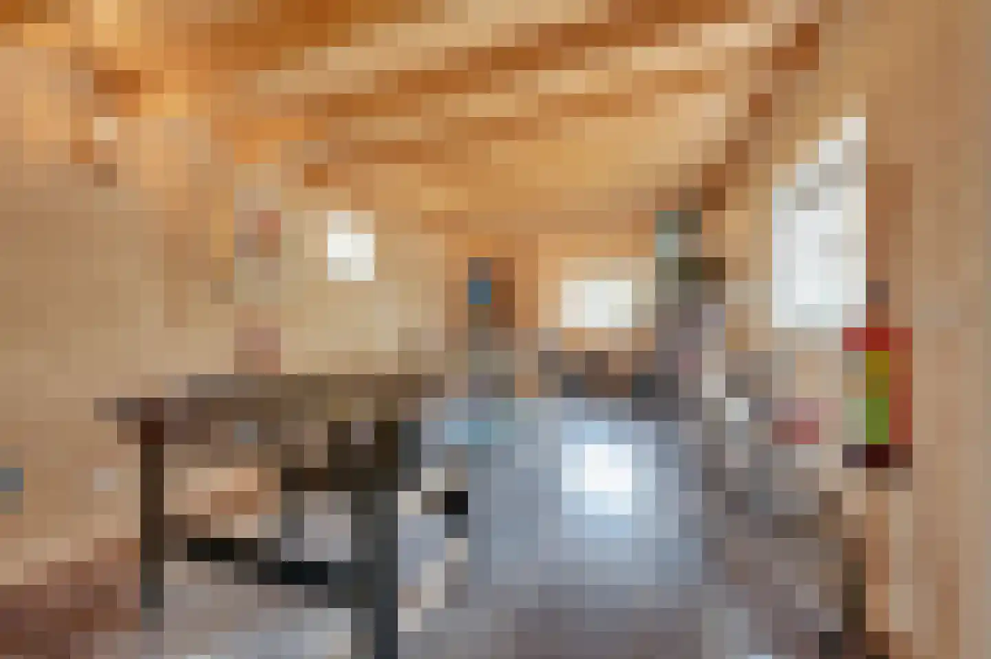 Zwagermanweg 2 Grijpskerke thumbnail 51