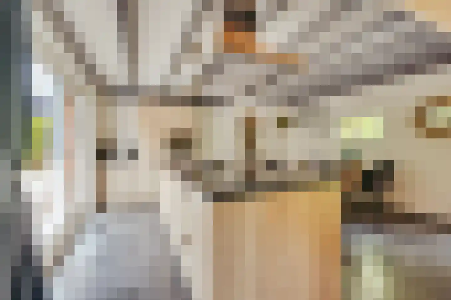 Zwagermanweg 2 Grijpskerke thumbnail 54