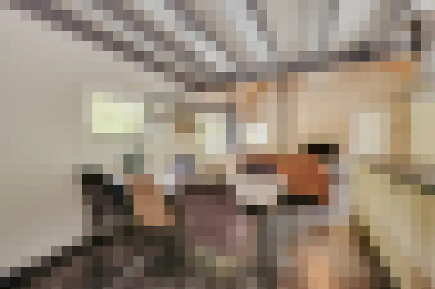 Zwagermanweg 2 Grijpskerke thumbnail 55