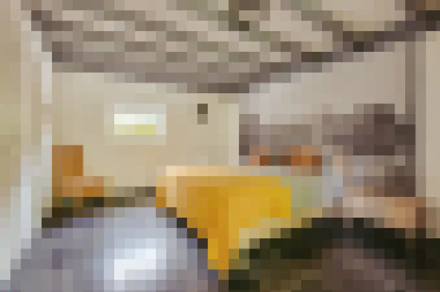 Zwagermanweg 2 Grijpskerke thumbnail 57