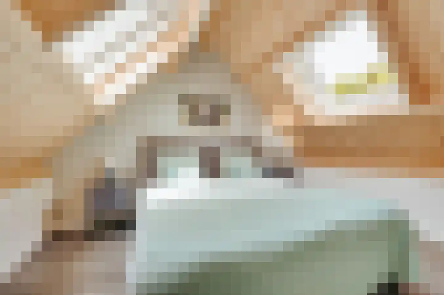 Zwagermanweg 2 Grijpskerke thumbnail 60