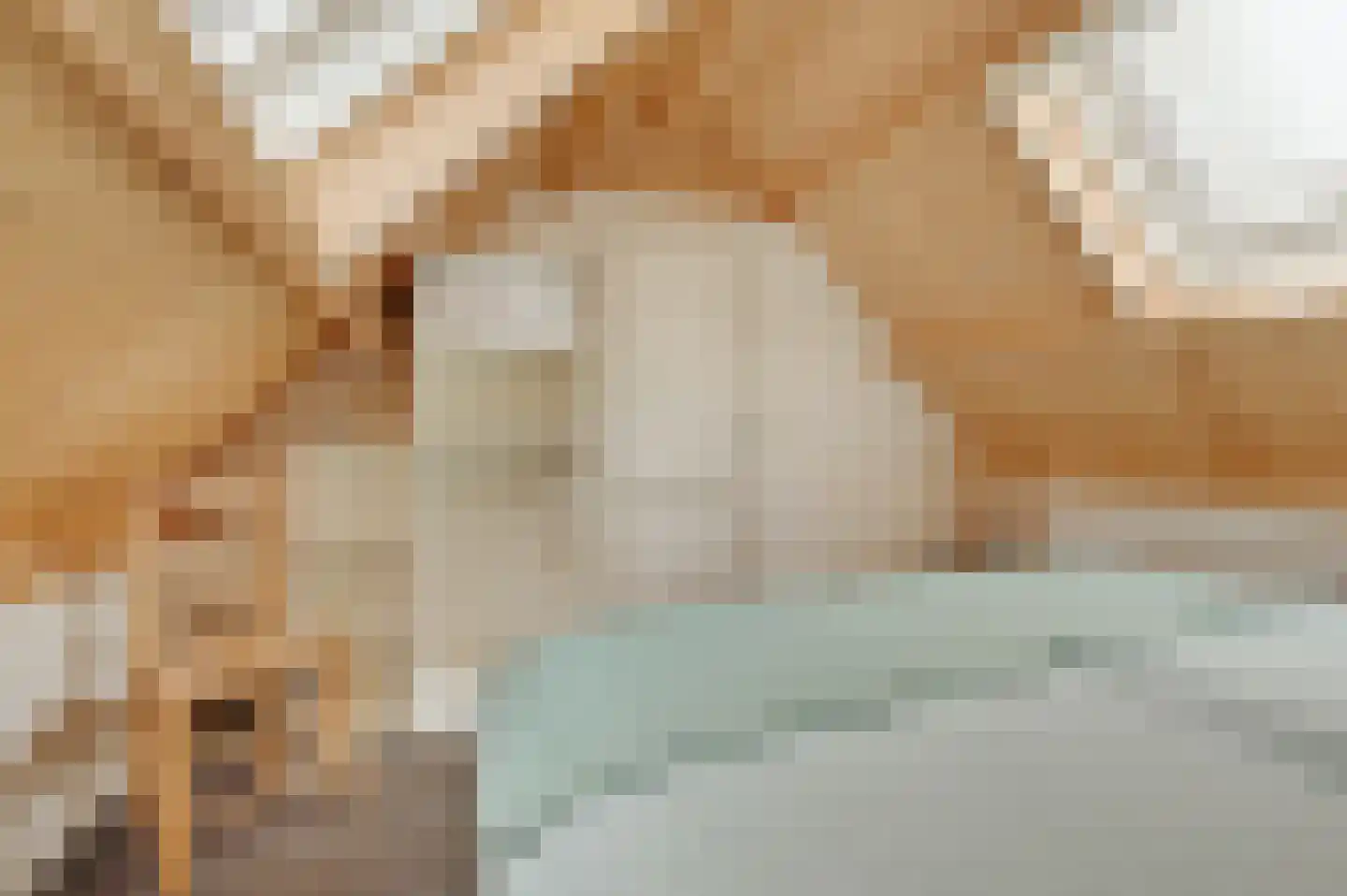 Zwagermanweg 2 Grijpskerke thumbnail 61