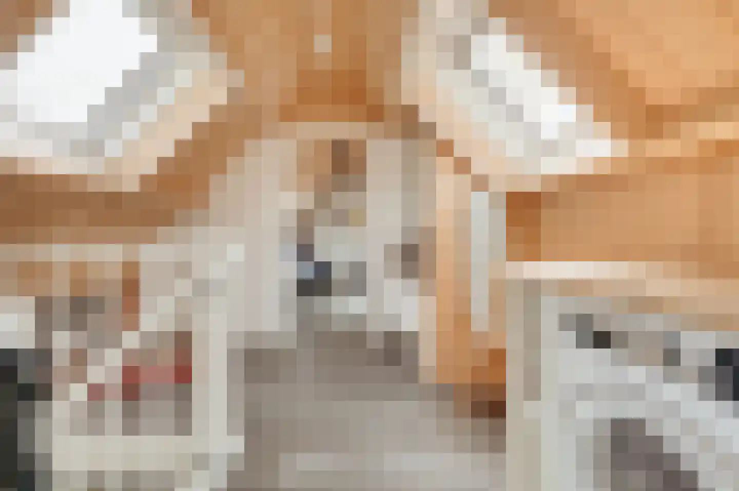 Zwagermanweg 2 Grijpskerke thumbnail 62