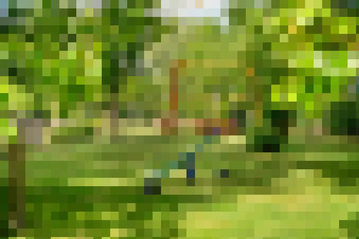 Zwagermanweg 2 Grijpskerke thumbnail 65