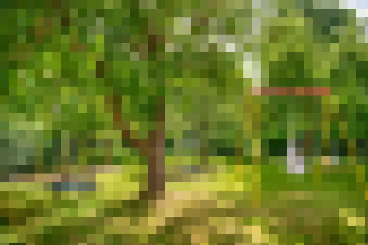 Zwagermanweg 2 Grijpskerke thumbnail 66