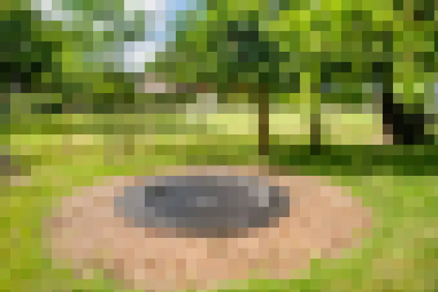Zwagermanweg 2 Grijpskerke thumbnail 67