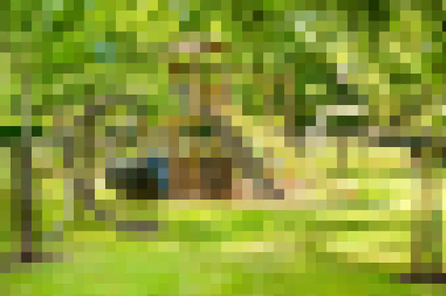 Zwagermanweg 2 Grijpskerke thumbnail 68