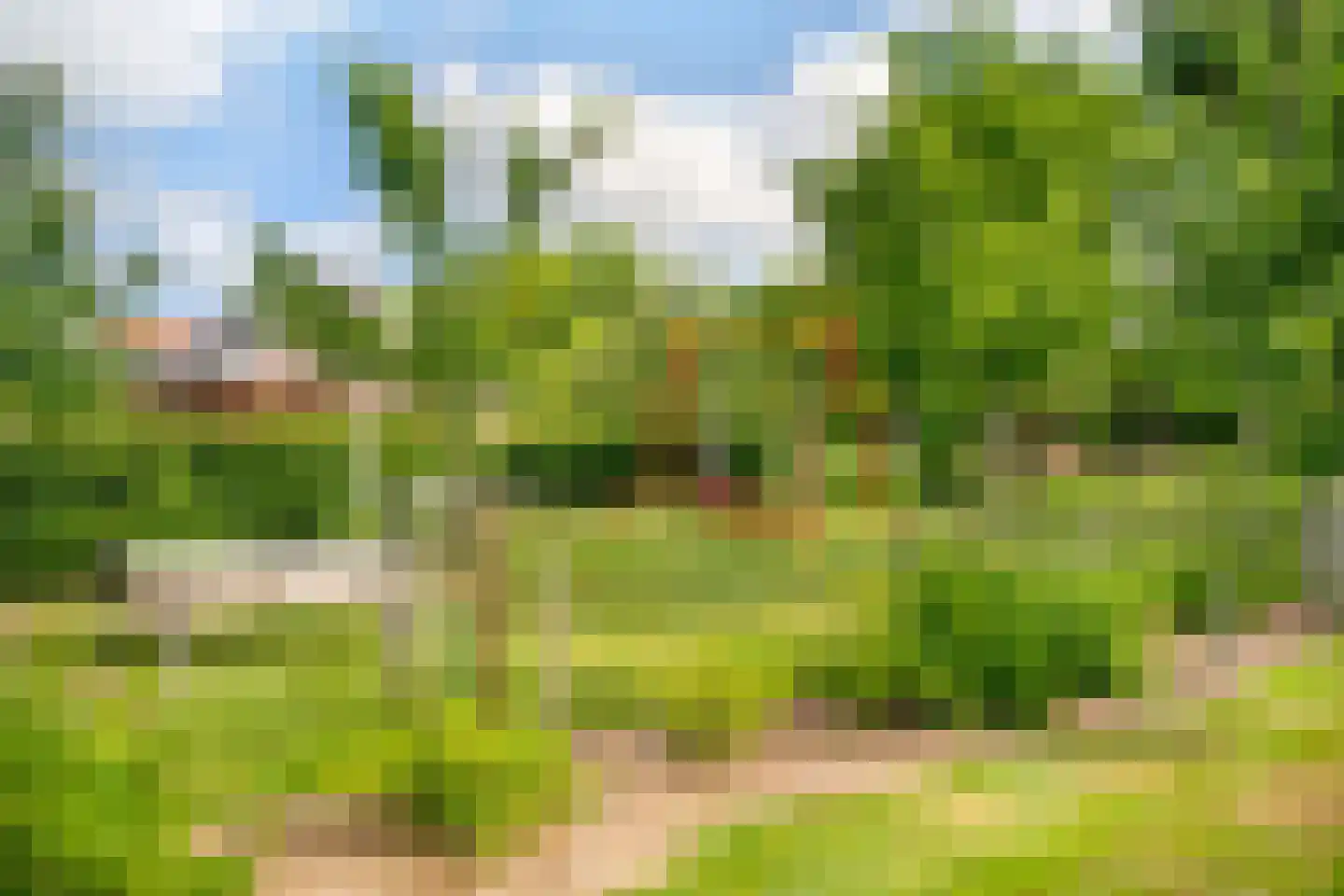 Zwagermanweg 2 Grijpskerke thumbnail 69