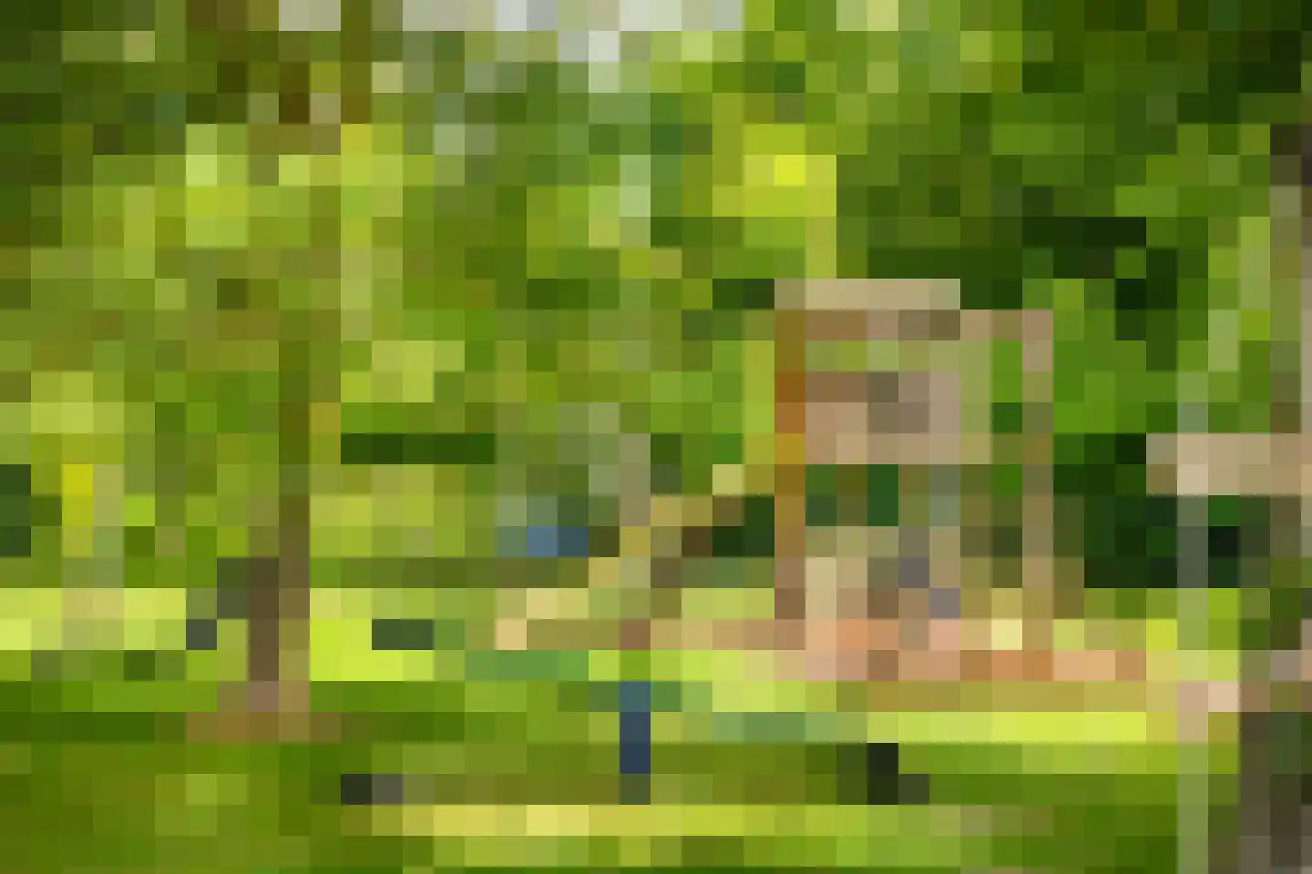 Zwagermanweg 2 Grijpskerke thumbnail 70