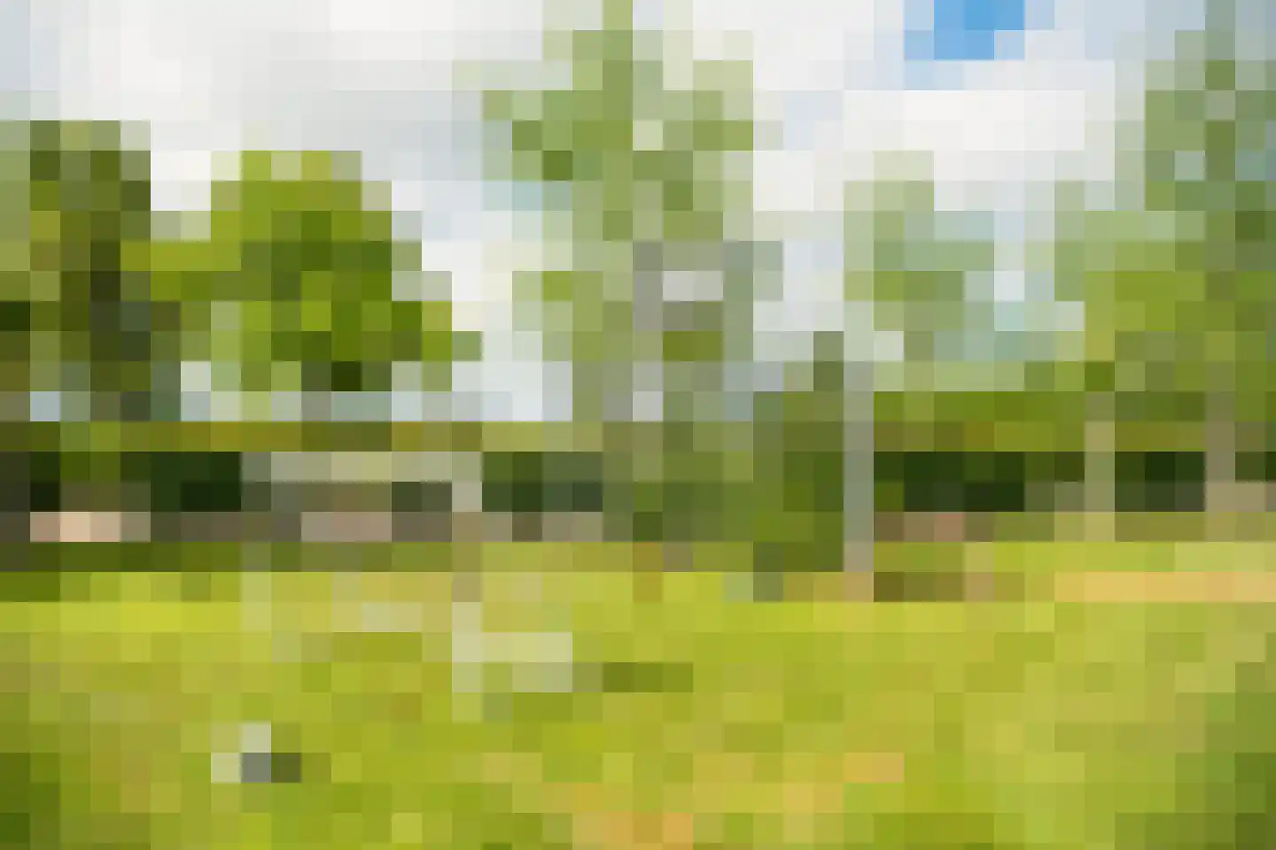 Zwagermanweg 2 Grijpskerke thumbnail 71