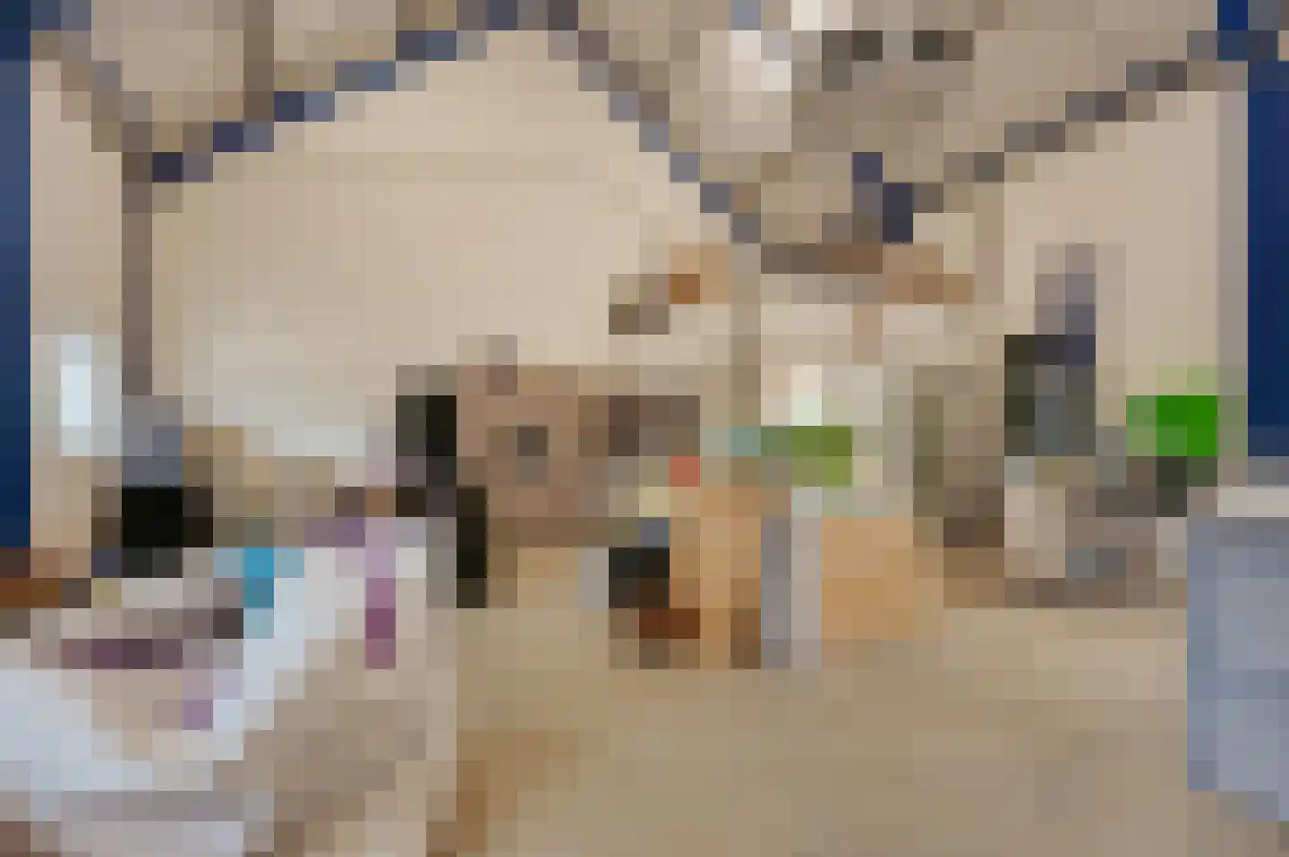 Zwagermanweg 2 Grijpskerke thumbnail 75
