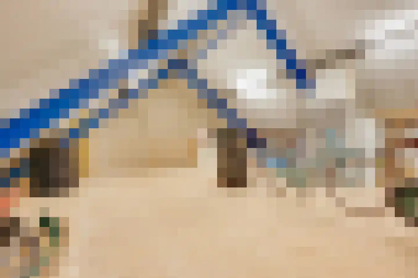 Zwagermanweg 2 Grijpskerke thumbnail 78