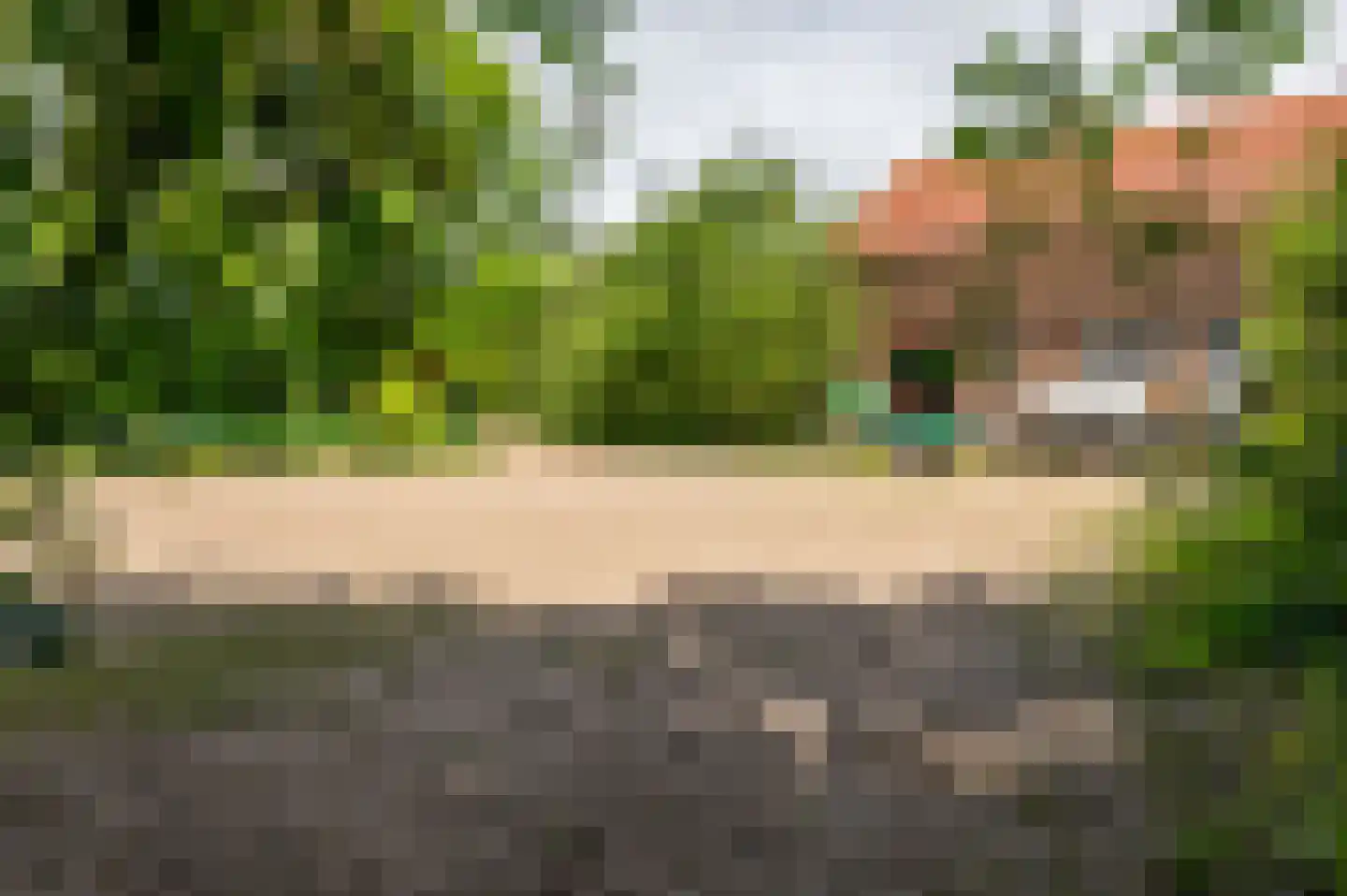 Zwagermanweg 2 Grijpskerke thumbnail 79