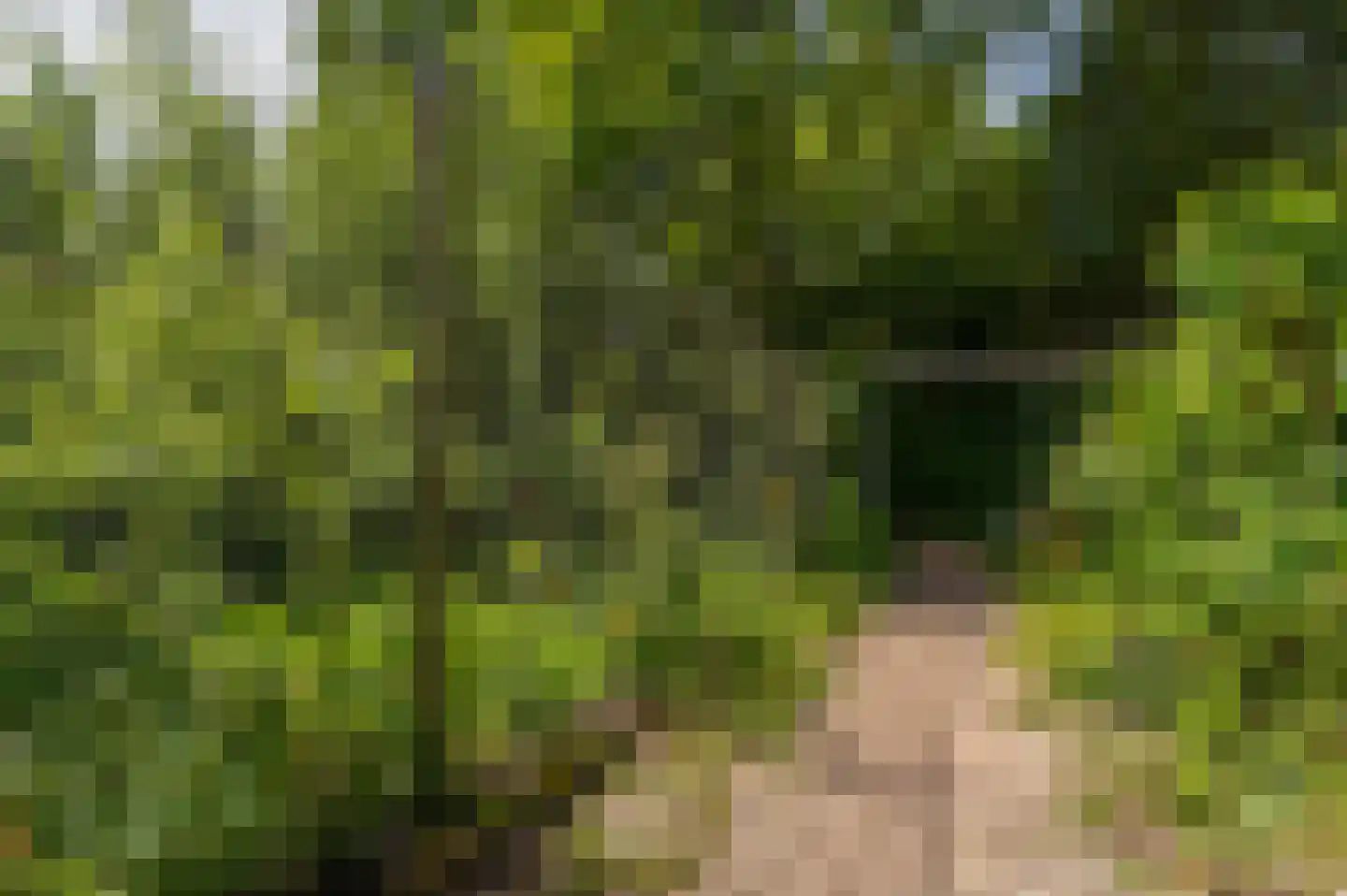 Zwagermanweg 2 Grijpskerke thumbnail 81
