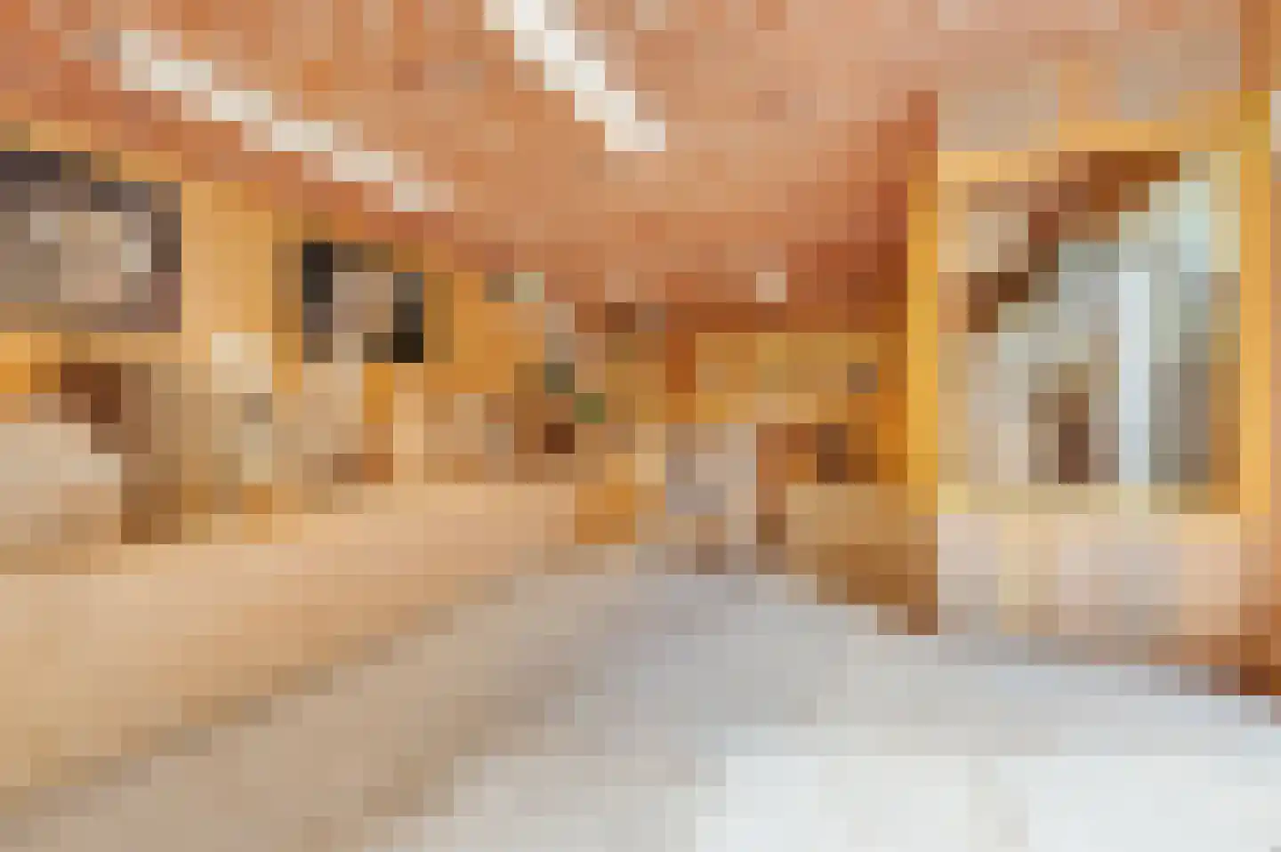 Zwagermanweg 2 Grijpskerke thumbnail 82