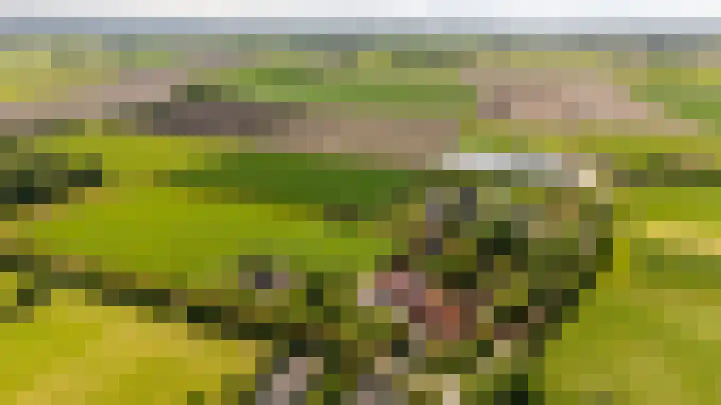 Zwagermanweg 2 Grijpskerke thumbnail 87