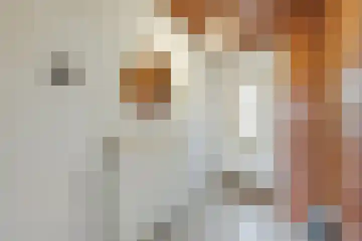Zwalmstraat 29 Giesbeek thumbnail 5