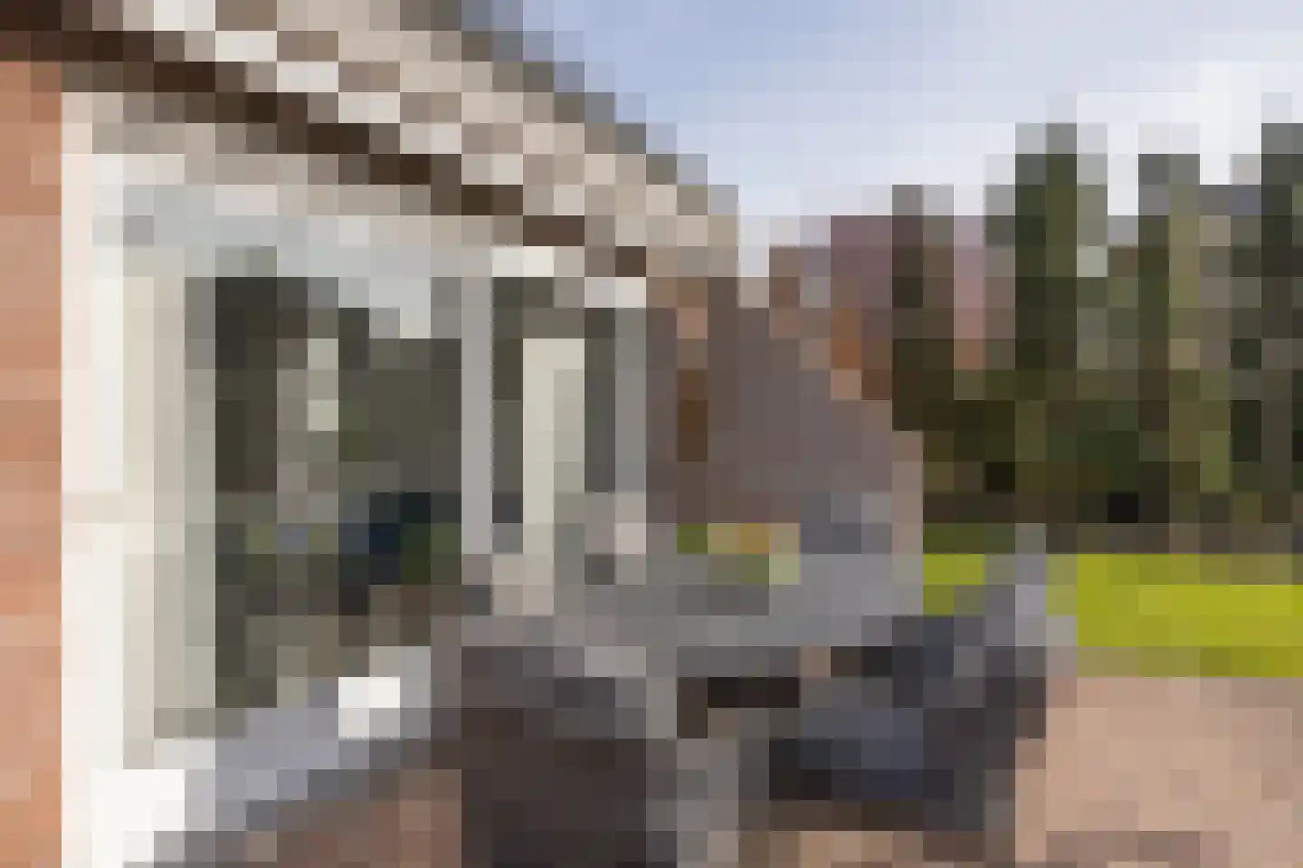 Zwaluw 102 Etten-Leur thumbnail 45