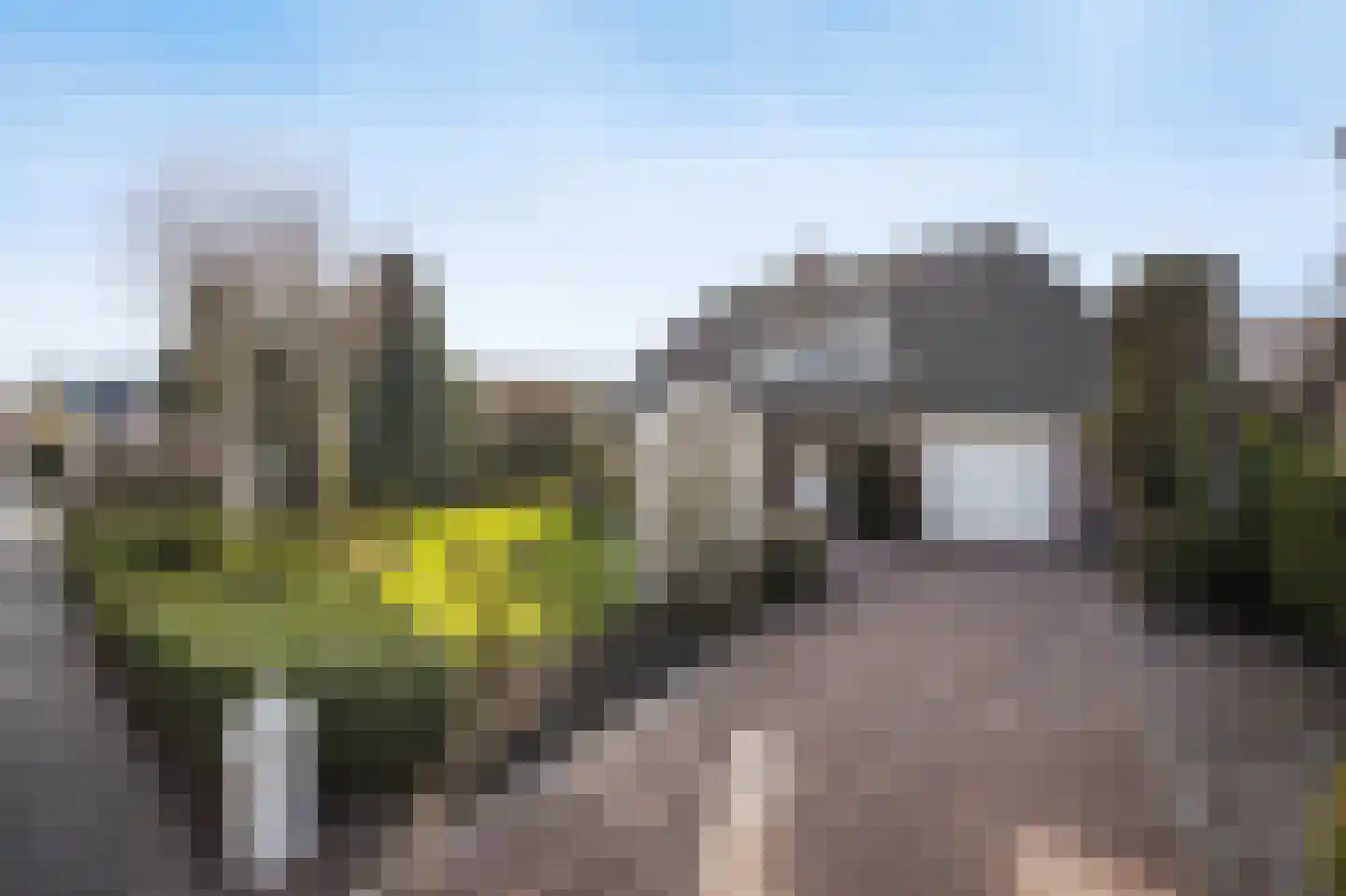 Zwaluw 102 Etten-Leur thumbnail 5