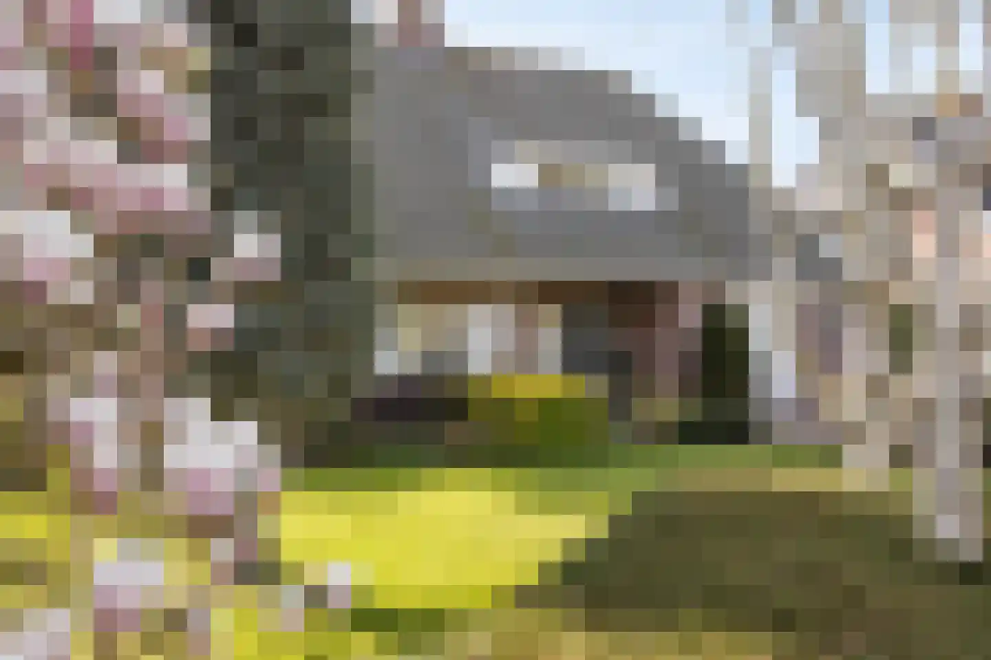 Zwaluw 102 Etten-Leur thumbnail 61