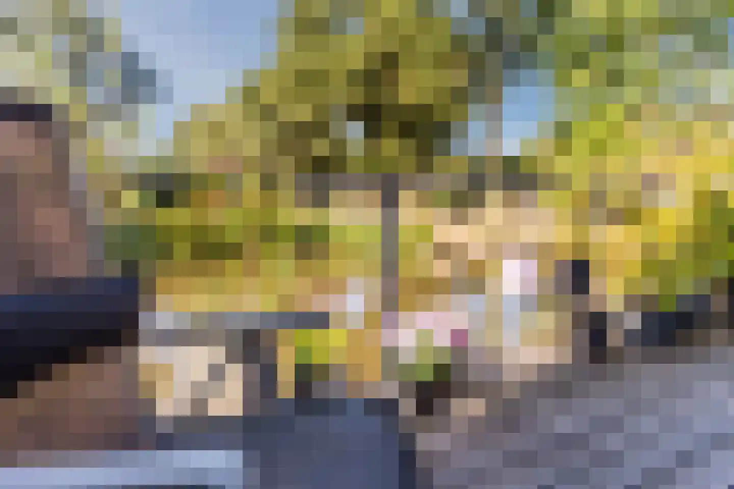 Zwaluw 11 Mijdrecht thumbnail 26