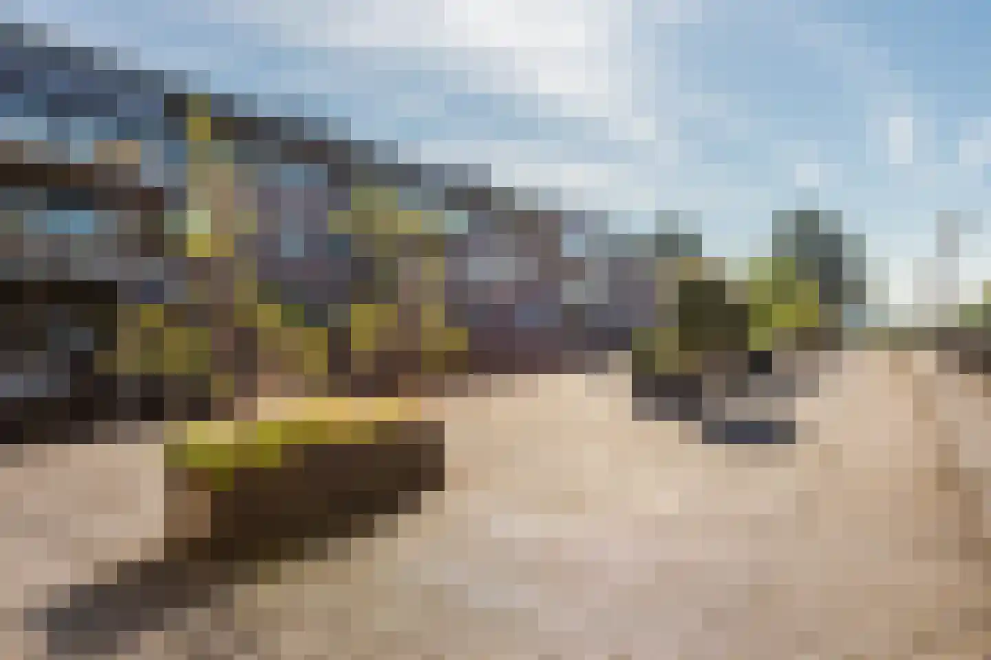 Zwaluw 11 Mijdrecht thumbnail 41
