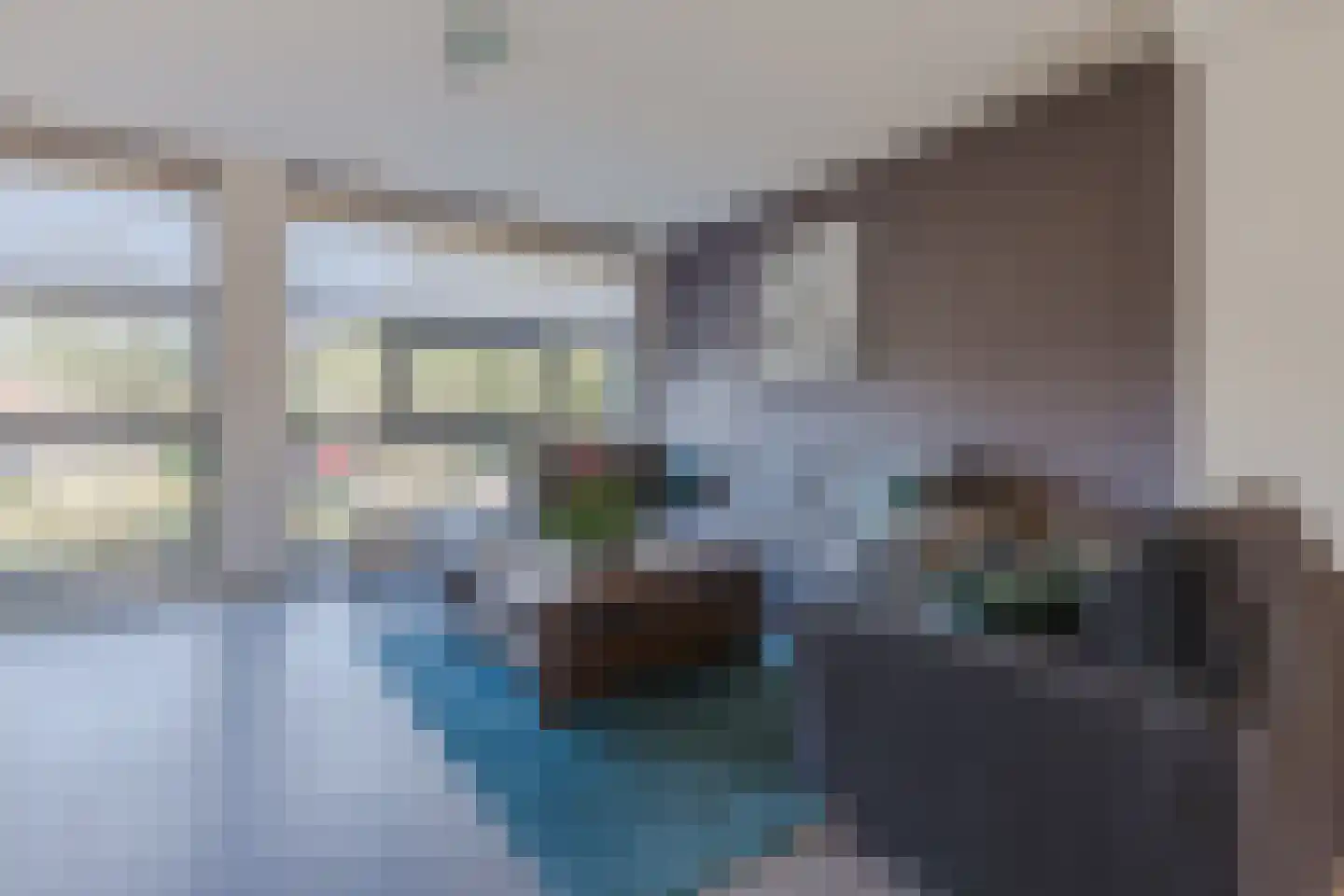 Zwaluw 11 Mijdrecht thumbnail 8
