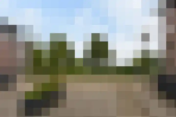 Zwaluw 119 Mijdrecht thumbnail 16
