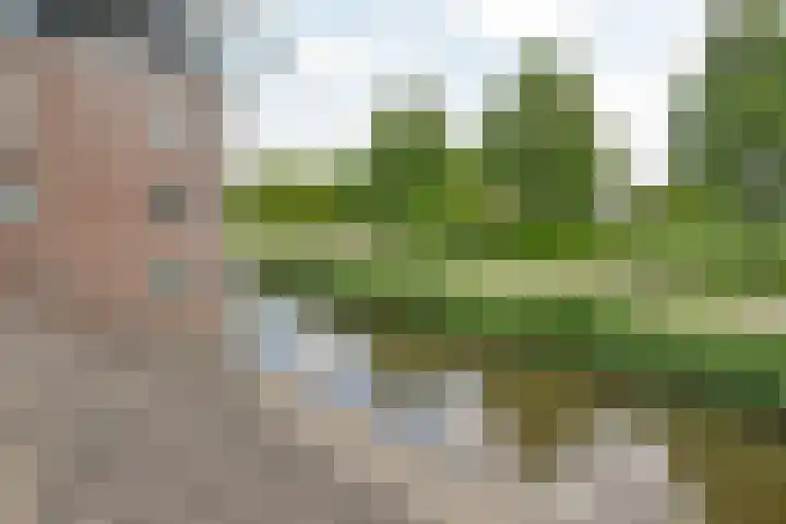 Zwaluw 119 Mijdrecht thumbnail 17