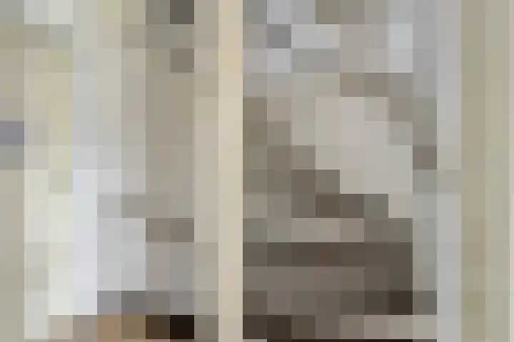Zwaluw 12 Boxmeer thumbnail 10