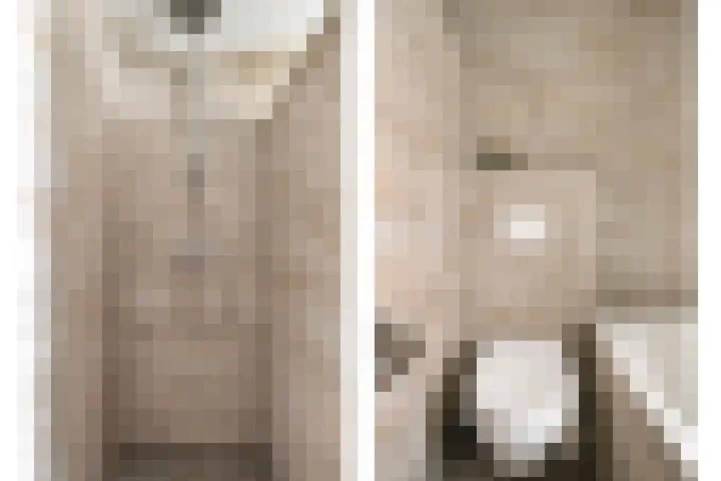 Zwaluw 12 Boxmeer thumbnail 12