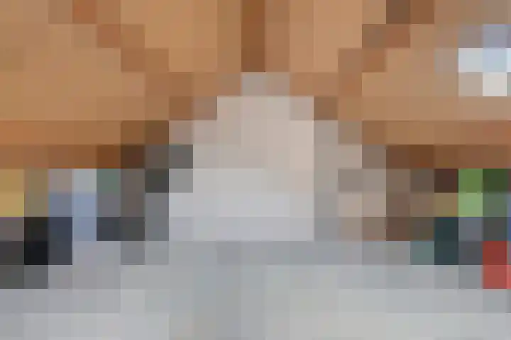 Zwaluw 12 Boxmeer thumbnail 16