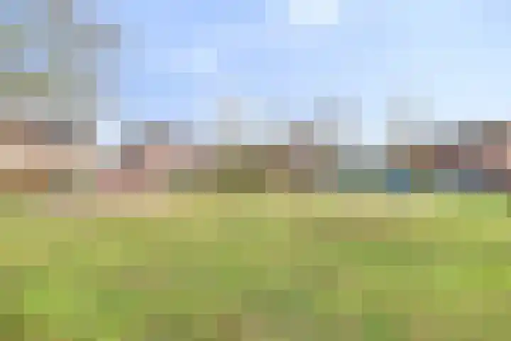 Zwaluw 12 Boxmeer thumbnail 22