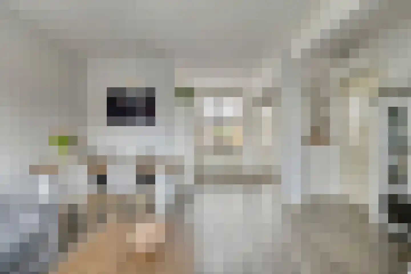 Zwaluw 12 Boxmeer thumbnail 6