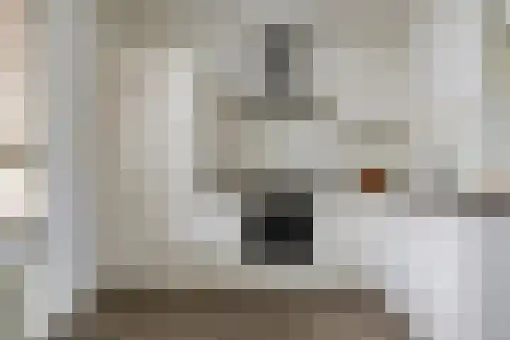 Zwaluw 12 Boxmeer thumbnail 7