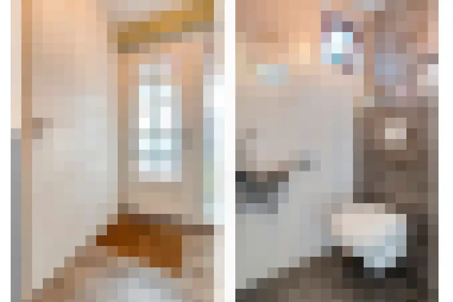 Zwaluw 12 Raalte thumbnail 12