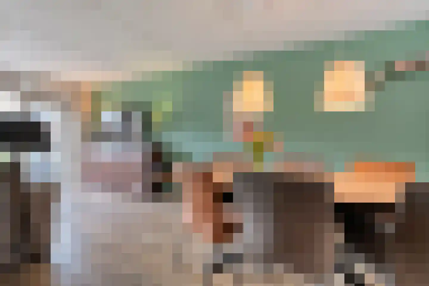 Zwaluw 12 Raalte thumbnail 14