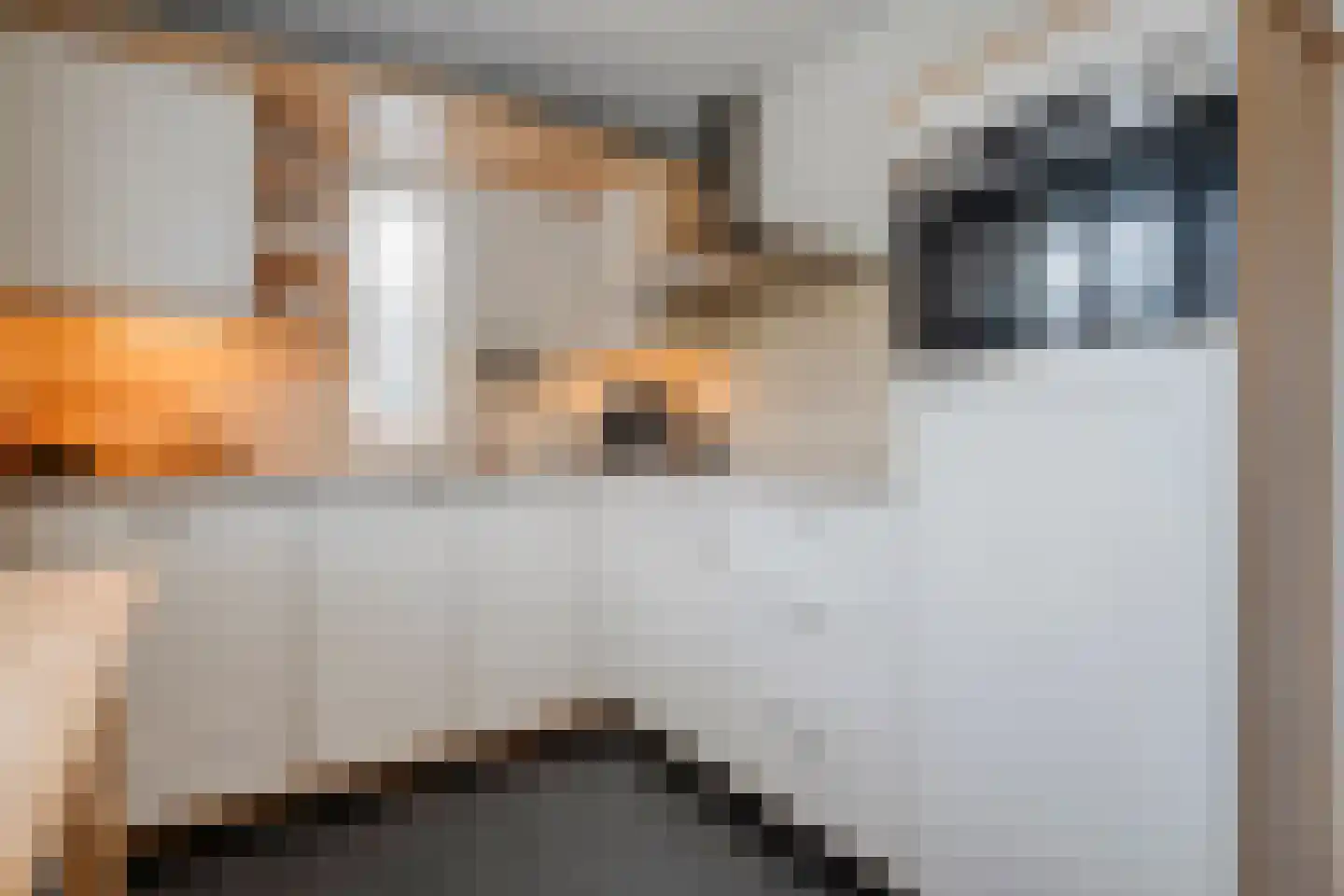 Zwaluw 12 Raalte thumbnail 14