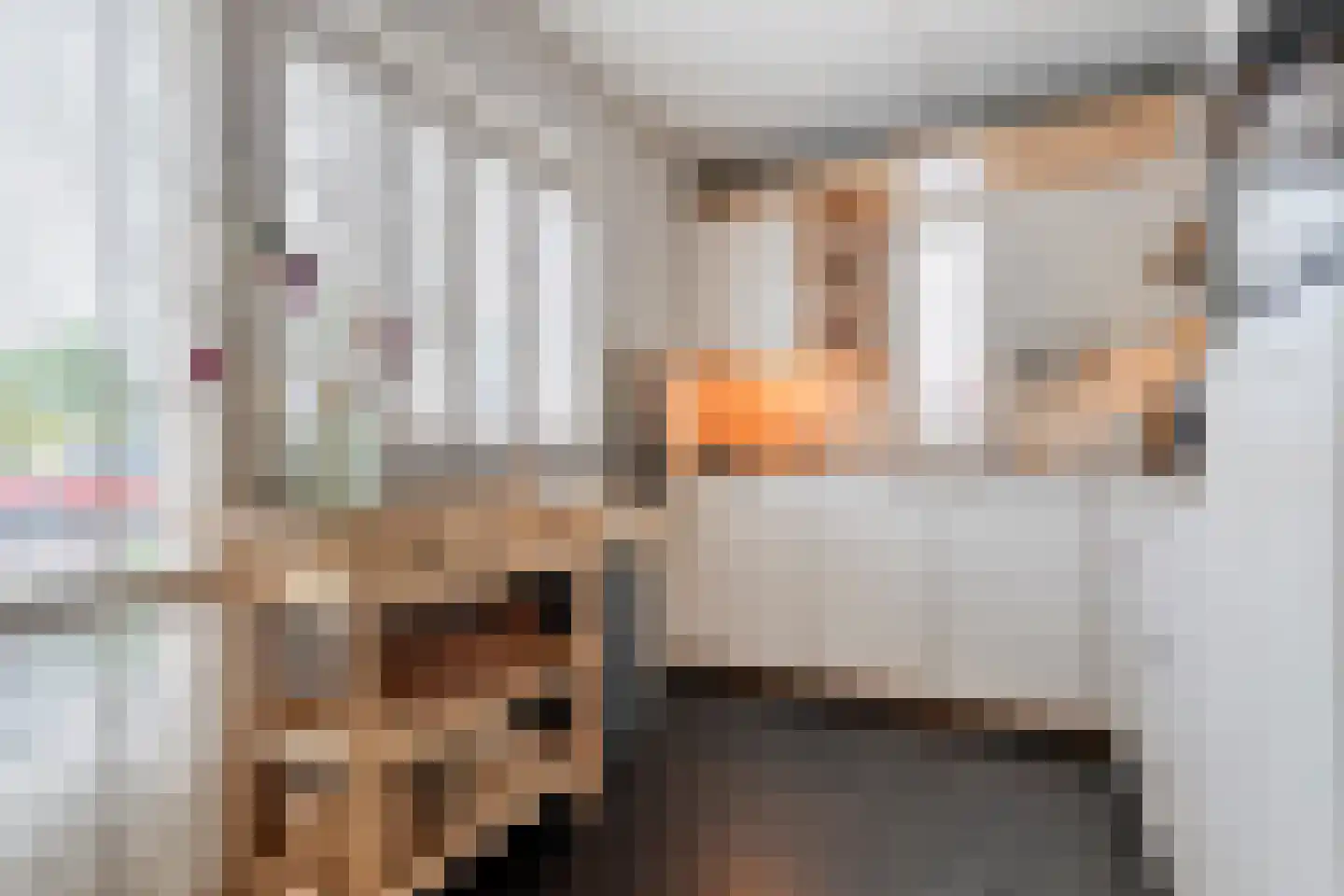 Zwaluw 12 Raalte thumbnail 15
