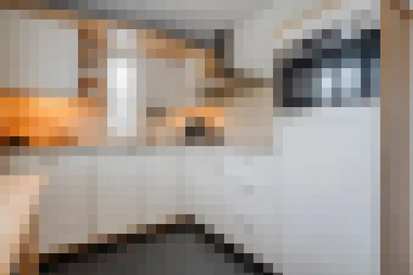 Zwaluw 12 Raalte thumbnail 16