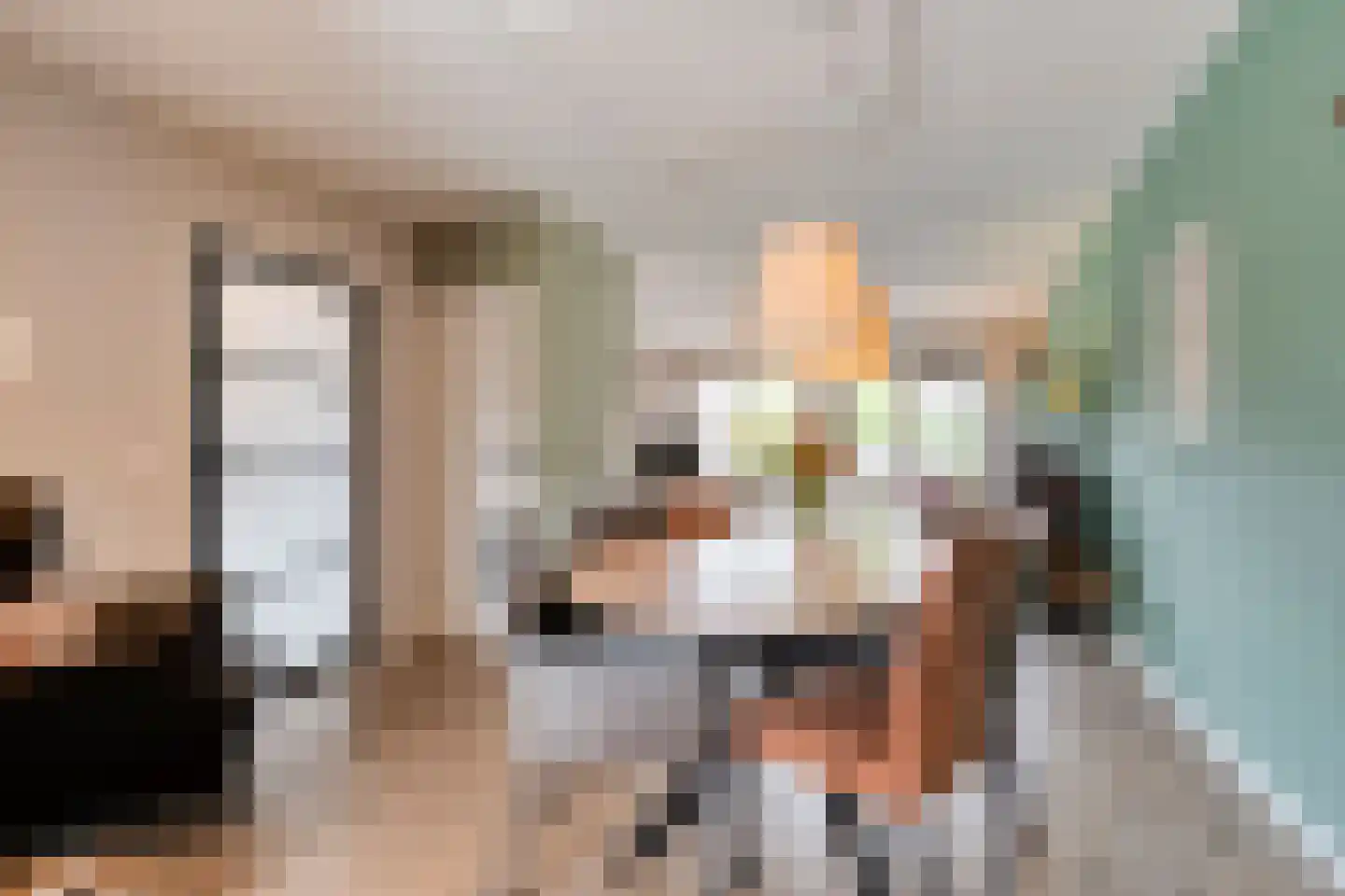 Zwaluw 12 Raalte thumbnail 19